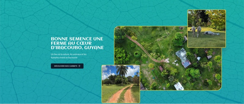 Aperçu du site Bonne Semence